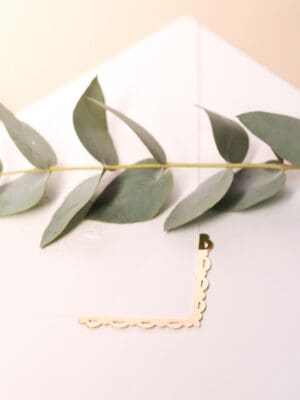 Ponteira Taiane - Imagem 2