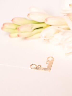 Ponteira Claudia - Imagem 2