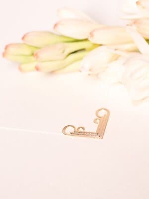 Ponteira Claudia - Imagem 3