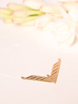 Ponteira Ivone - Imagem 2