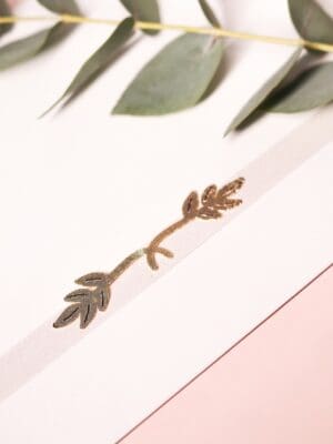 Lacre Carol - Imagem 2