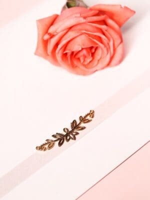 Lacre Vera - Imagem 2