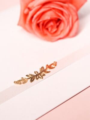 Lacre Vera - Imagem 3