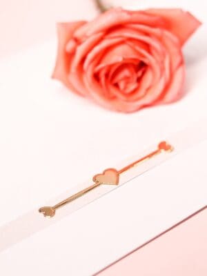 Lacre Cora - Imagem 2