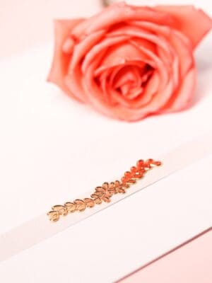 Lacre Luciana - Imagem 2